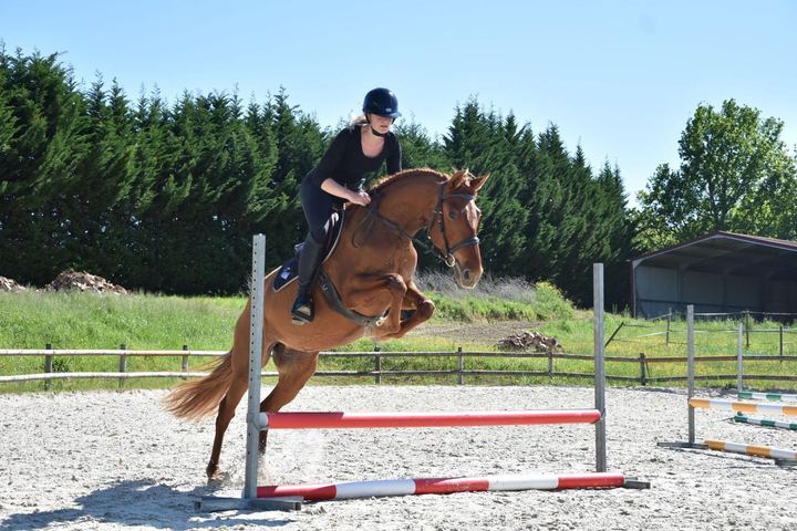 Photo 2 de Elsa