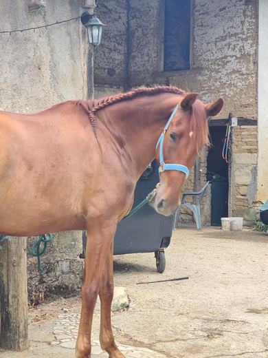 Photo 3 de Elsa