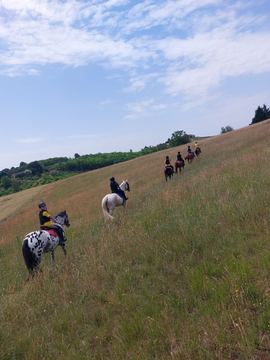 Photo 9 des Écuries de Merlanes