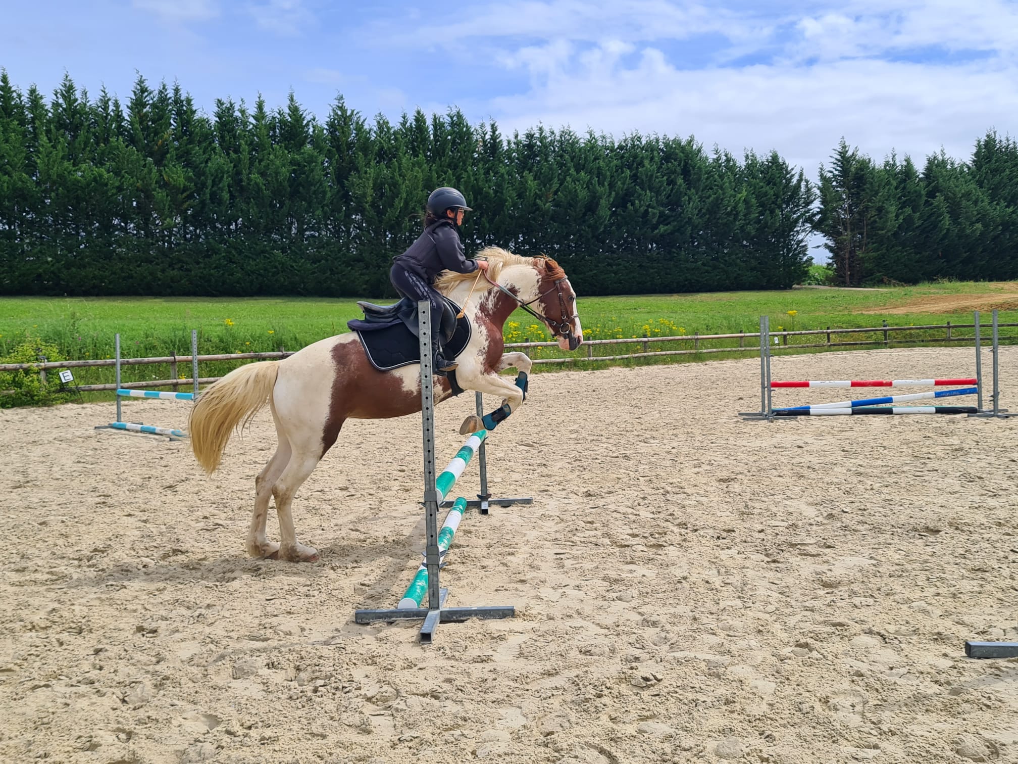 Exercice d'Équitation en carrière