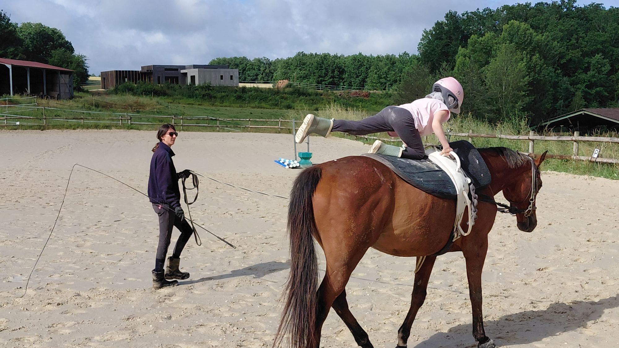 Activité pédagogique autour du cheval